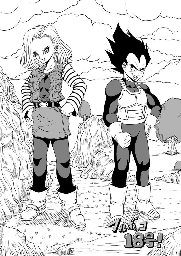 ᐅ VEGETA vs N18