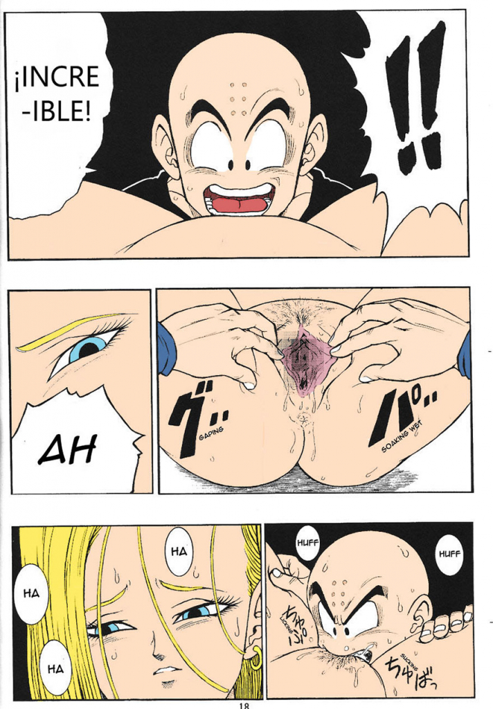 ᐅ DRAGON BALL H - Krilin x Nr18