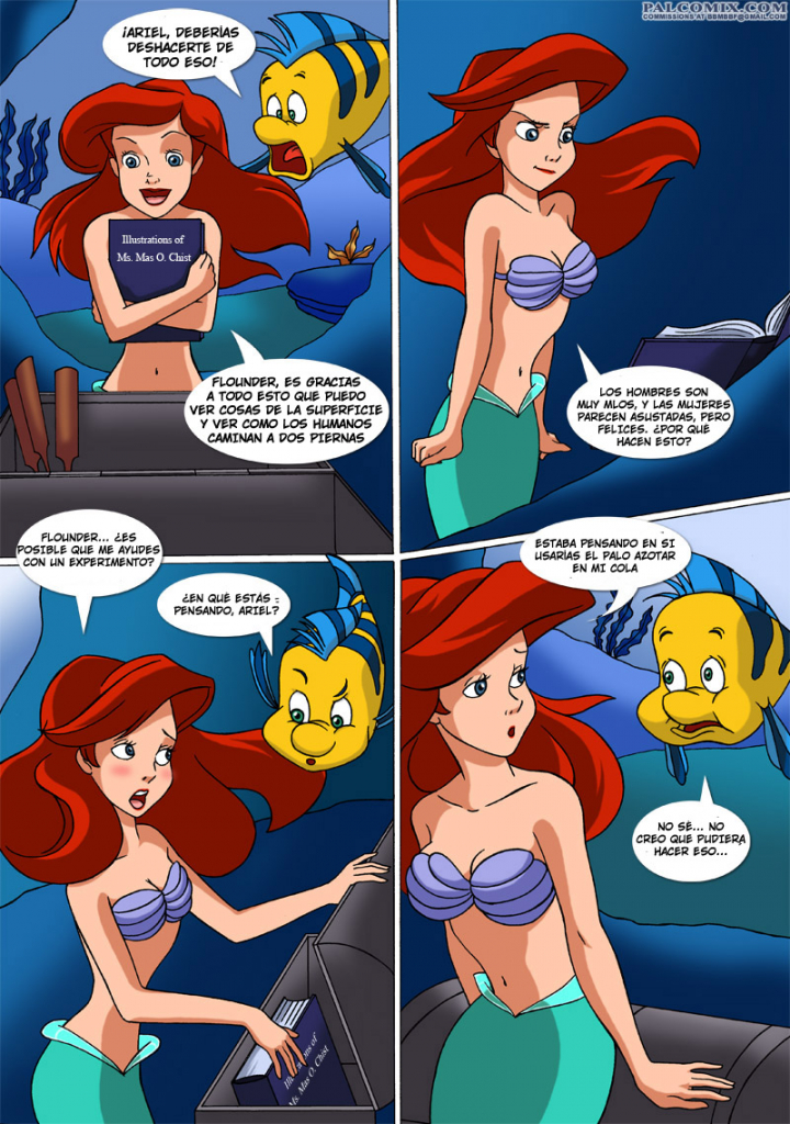 ᐅ Un Nuevo DESCUBRIMIENTO para ARIEL